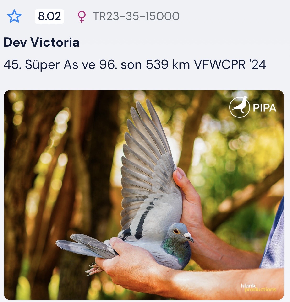 final 96 Süper Ace 45