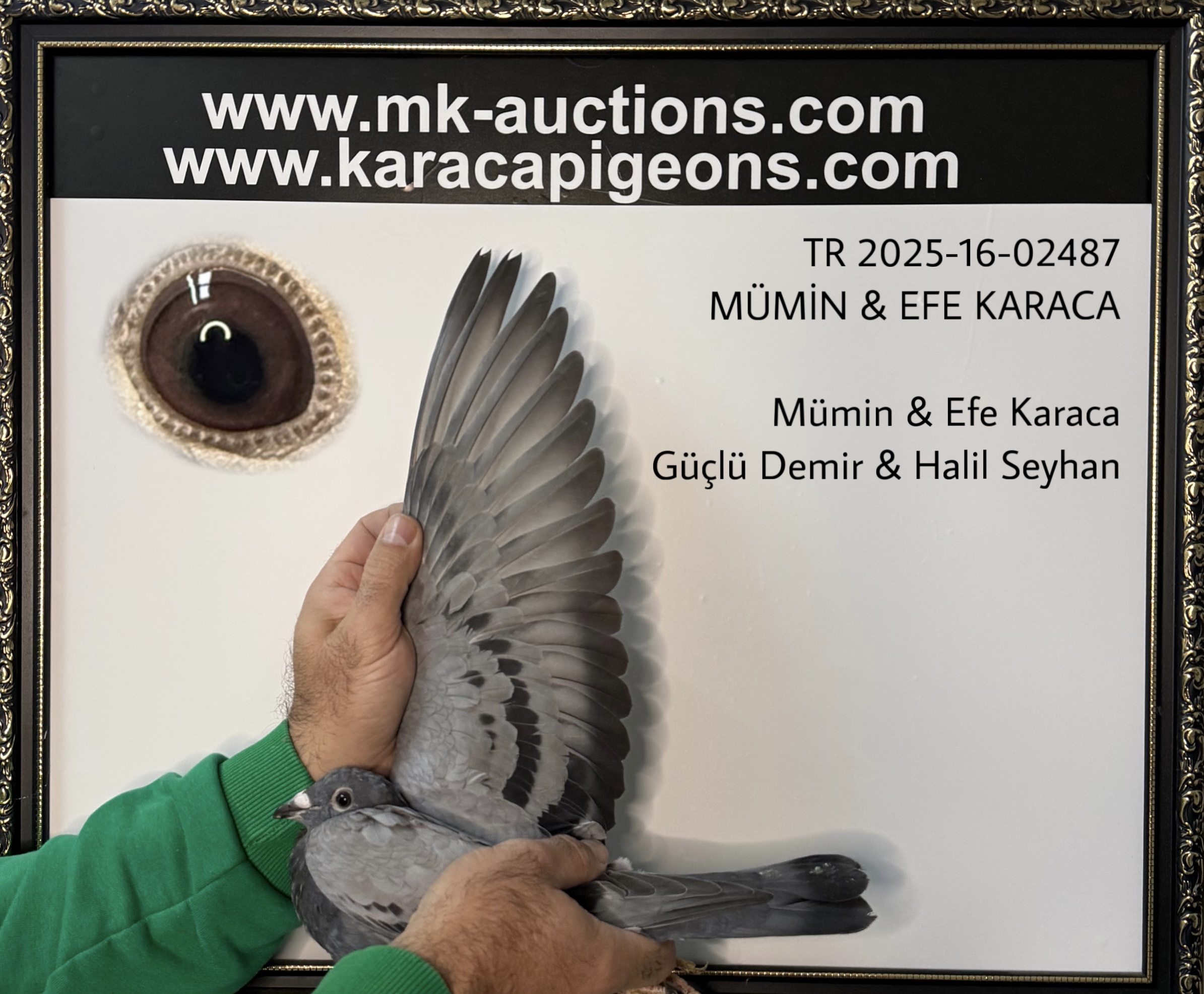 TR 2025-16-02487