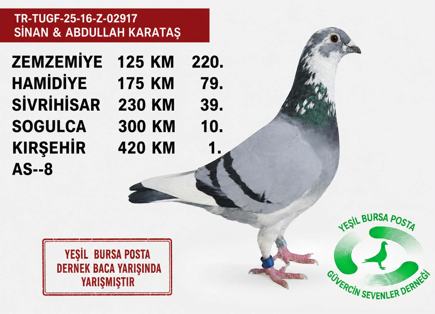 TR 24-16-11096 D