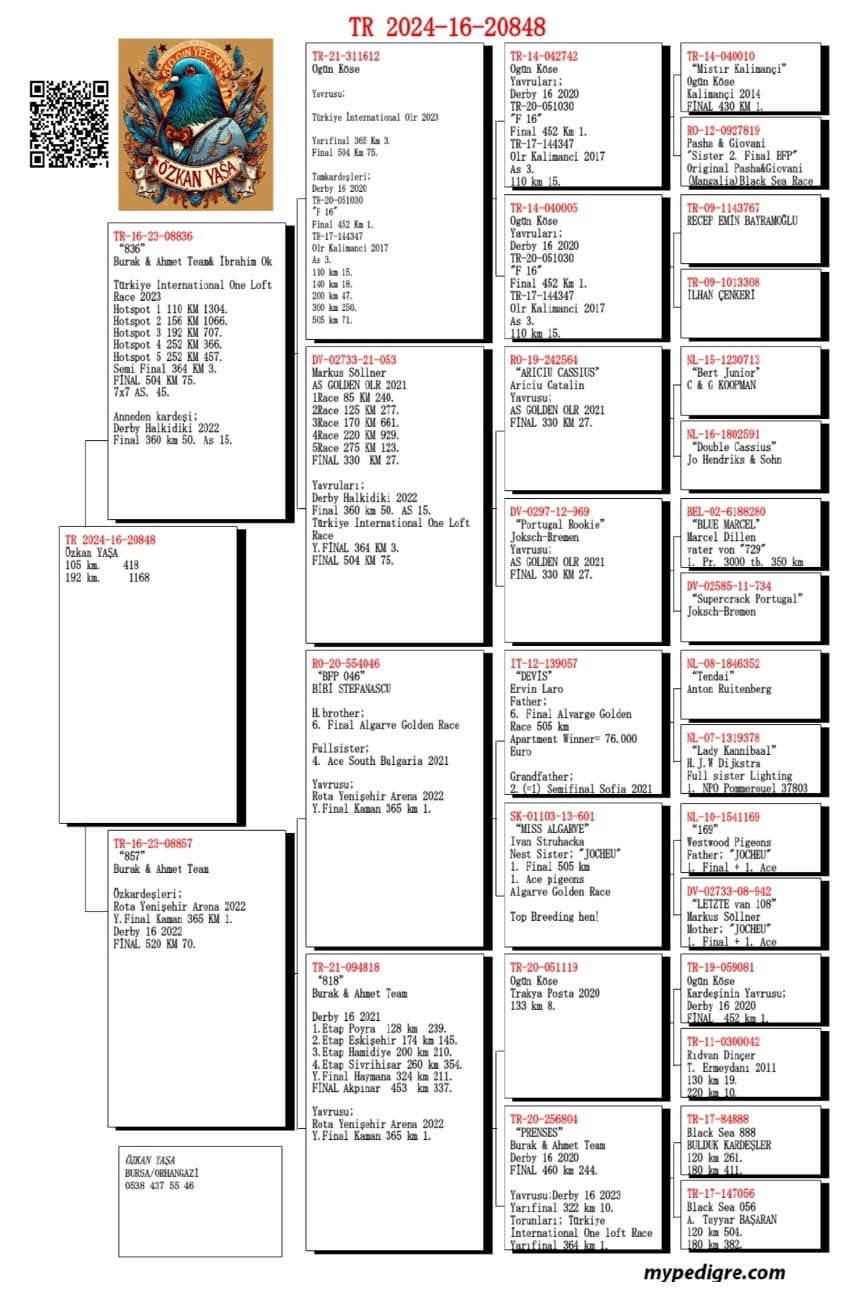 TR 16-24-20848